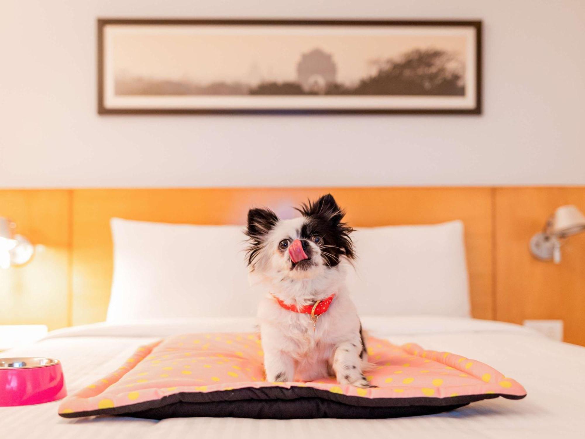 Hotel Ibis